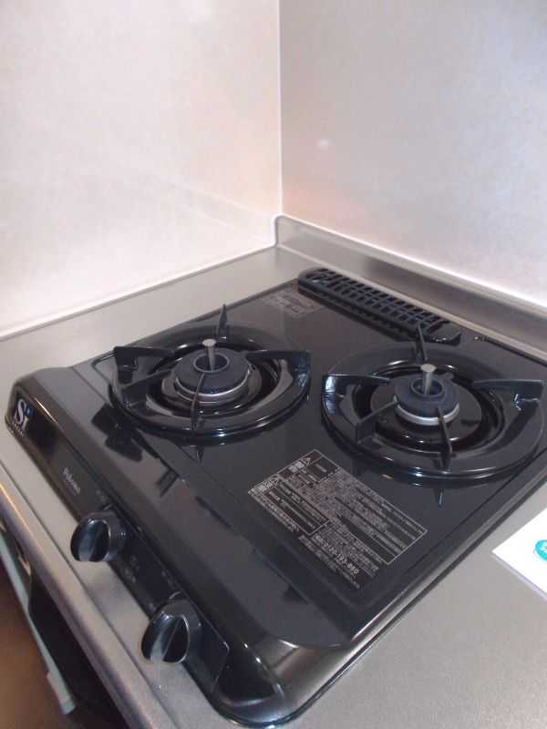 ��ʌ�����s�厚�v�ۂ̃A�p�[�g�̃L�b�`��