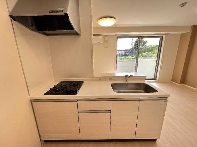 ��ʌ�����s�厚���s������̃}���V�����̃L�b�`��