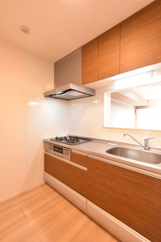 ��ʌ��z�J�s���������Q���ڂ̃A�p�[�g�̃L�b�`��