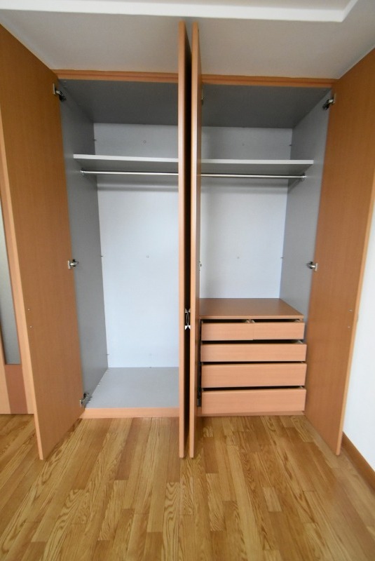 ��ʌ�����s�厚�����q��V�c�̃}���V�����̎��[