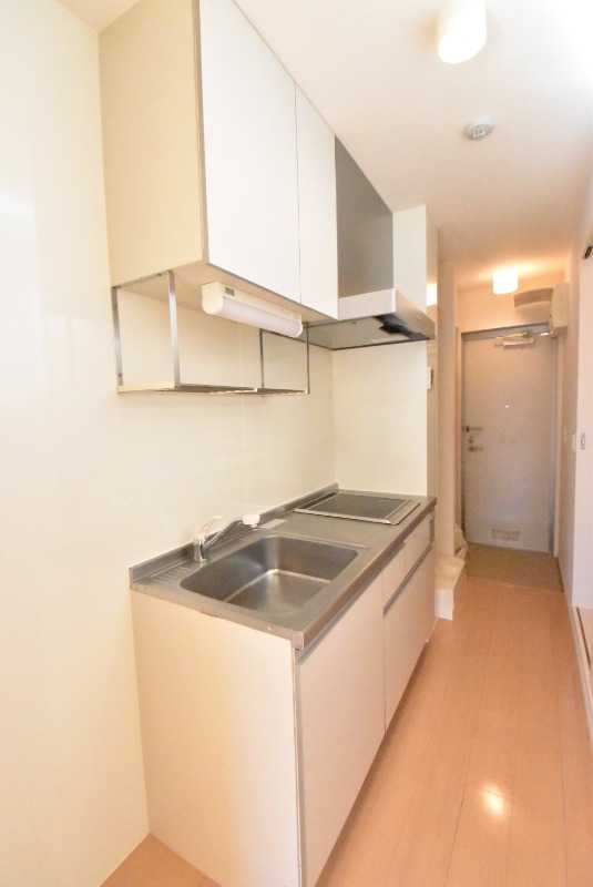 ��ʌ��z�J�s���C�N�^�E���P���ڂ̃A�p�[�g�̃L�b�`��