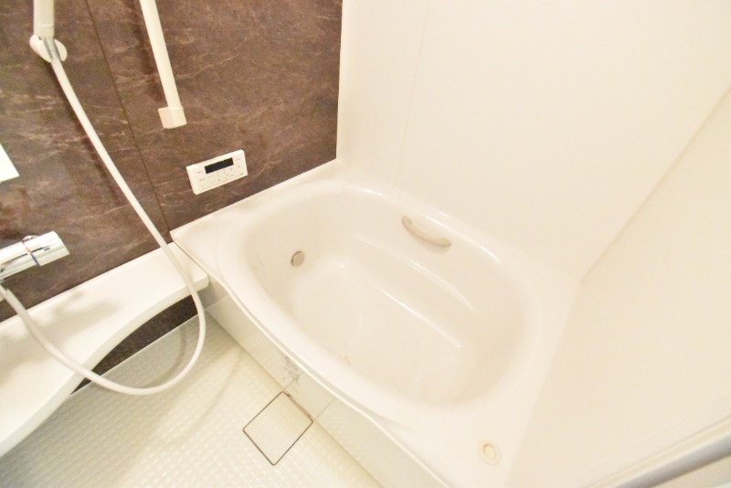 ��ʌ�����s�˒˓��R���ڂ̃A�p�[�g�̃o�X