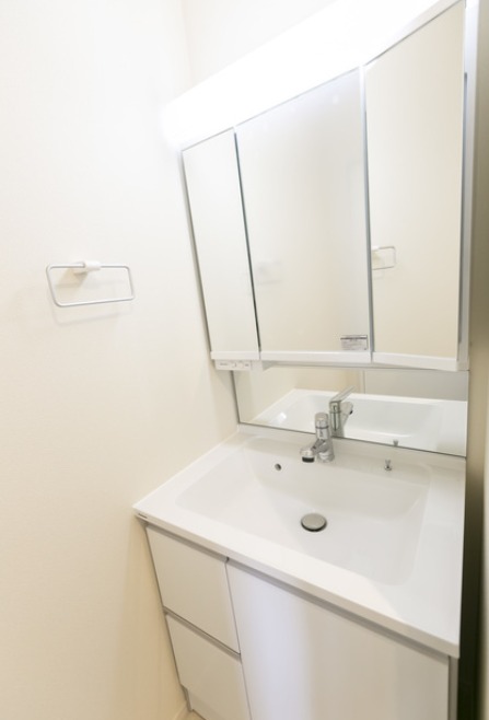 ��ʌ�����s�厚���̃}���V�����̐��ʏ�