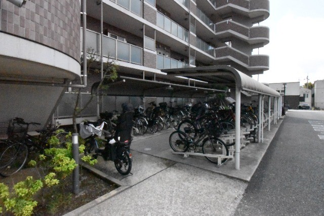 ��ʌ��������܎s�΋�厚���̃}���V�����̂��̑�