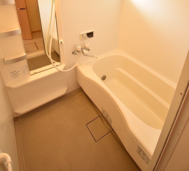 ��ʌ��������܎s����厚�w��̃A�p�[�g�̃o�X