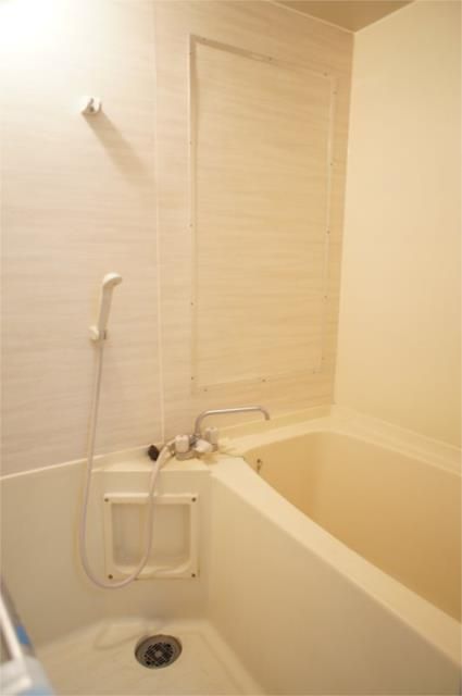 ��ʌ��z�J�s�厚��[�̃A�p�[�g�̃o�X