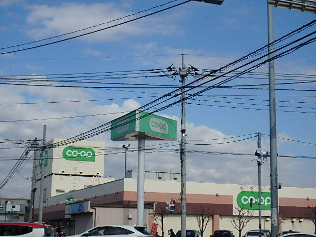 ��ʌ��������܎s�΋�厚�O���̃e���X�n�E�X�̎���