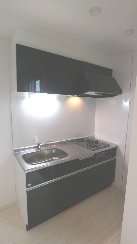 ��ʌ��z�J�s���C�N�^�E���U���ڂ̃A�p�[�g�̃L�b�`��