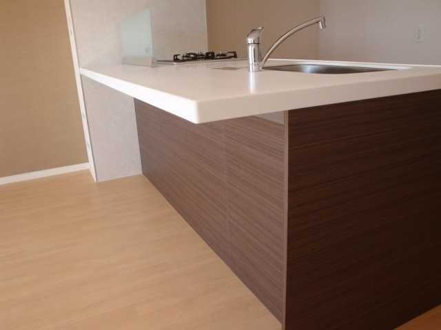 ��ʌ��������܎s�΋�厚�����̃}���V�����̃L�b�`��