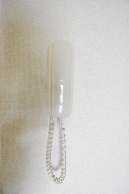 ��ʌ��z�J�s�{�{���R���ڂ̃}���V�����̂��̑�