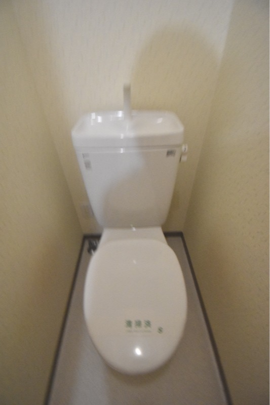 ��ʌ��������܎s����厚���m��̃}���V�����̃g�C��