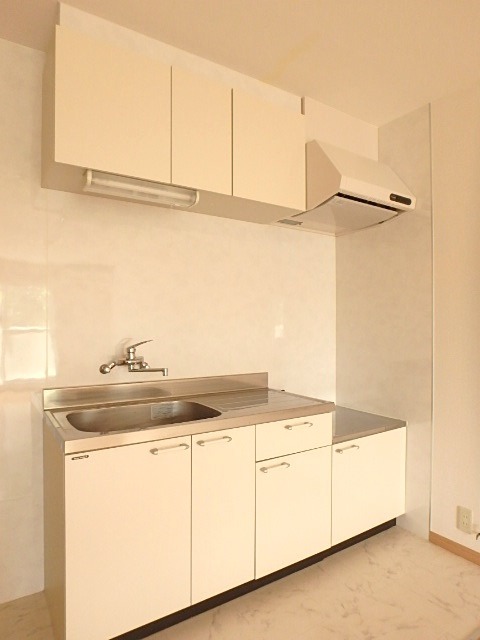 ��ʌ��������܎s�������a�c���P���ڂ̃A�p�[�g�̃L�b�`��