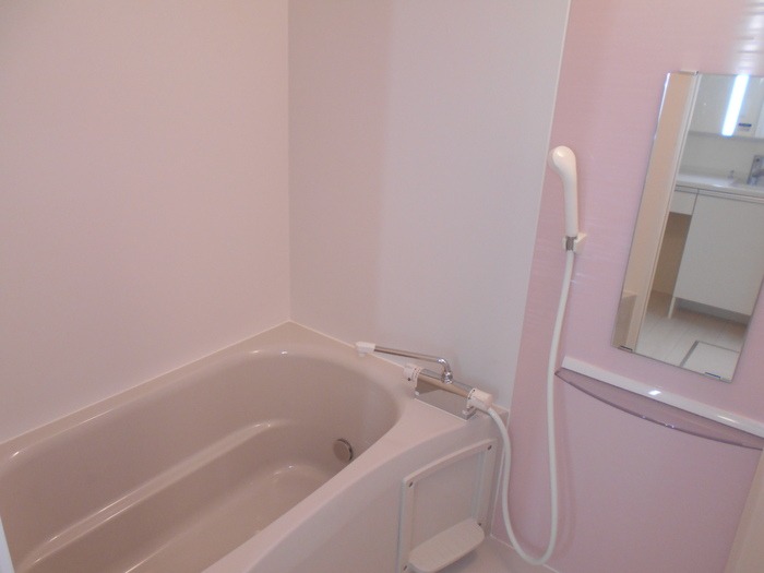 ��ʌ��z�J�s�o�˒��̃A�p�[�g�̃o�X