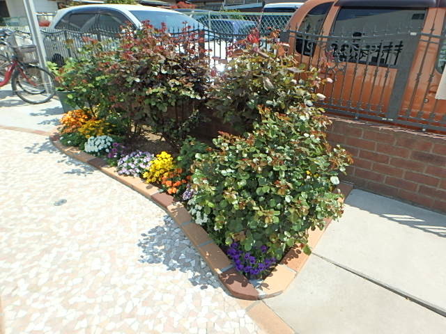 ��ʌ��������܎s������{�����S���ڂ̃A�p�[�g�̂��̑�