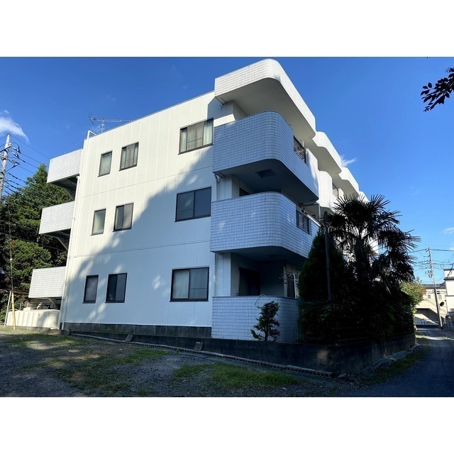 ��ʌ�����s�厚���s�̃}���V�����̃G���g�����X