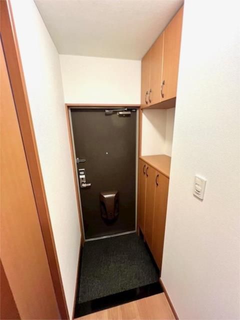 ��ʌ�����s�厚������̃}���V�����̌���