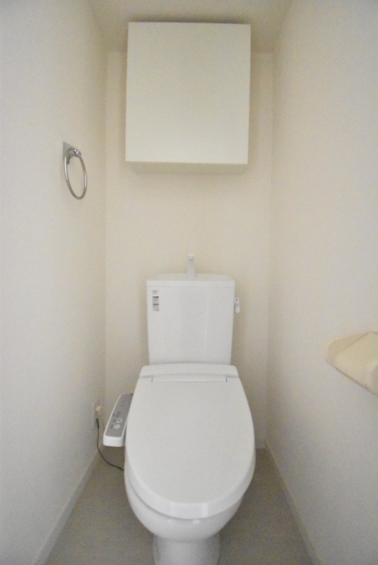 ��ʌ��������܎s�΋�厚����c�̃}���V�����̃g�C��