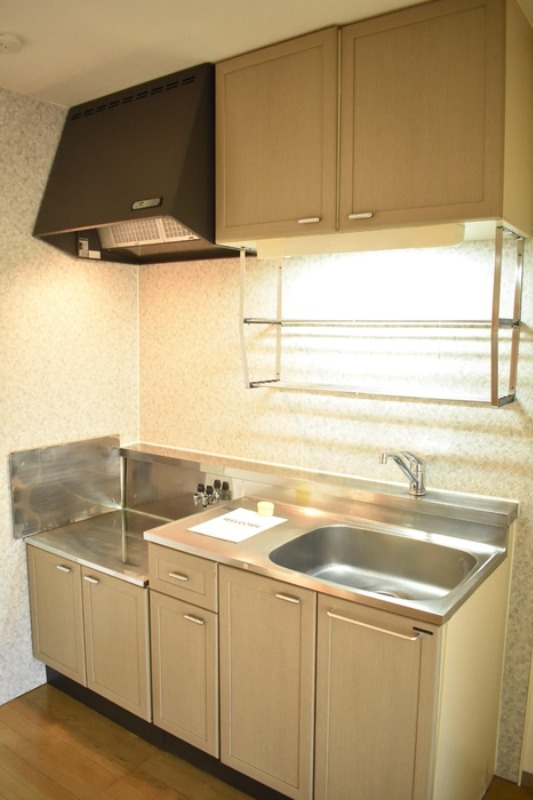 ��ʌ��������܎s����厚����{���̃A�p�[�g�̃L�b�`��