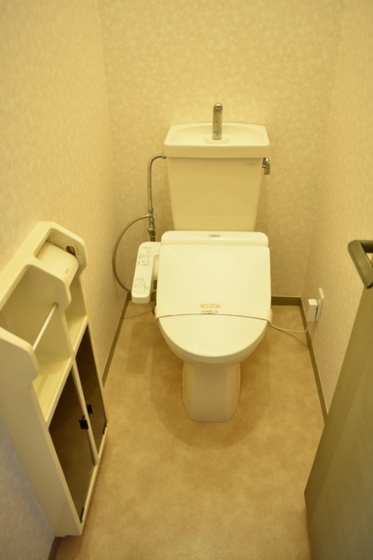 ��ʌ��������܎s����厚����{���̃A�p�[�g�̃g�C��