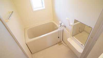 ��ʌ������s���v��̃}���V�����̃o�X