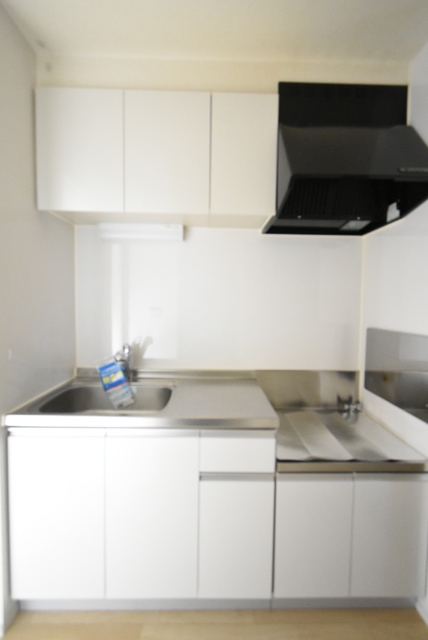 ��ʌ��������܎s�k�擌�听���Q���ڂ̃A�p�[�g�̃L�b�`��