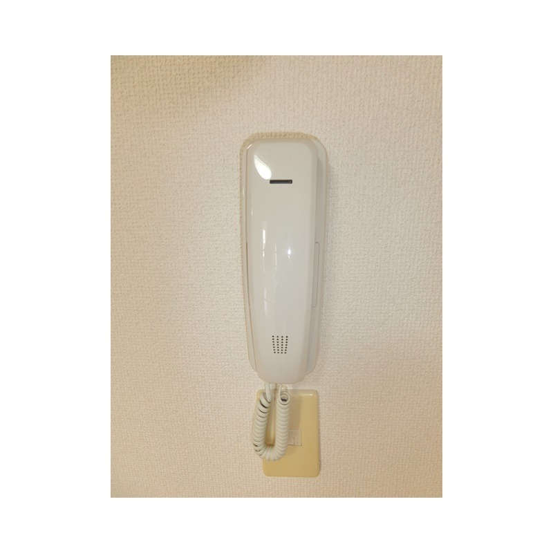 ��ʌ��@�c�s�@�c�P���ڂ̃}���V�����̂��̑�