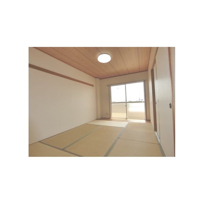 ��ʌ��@�c�s�@�c�P���ڂ̃}���V�����̂��̑�