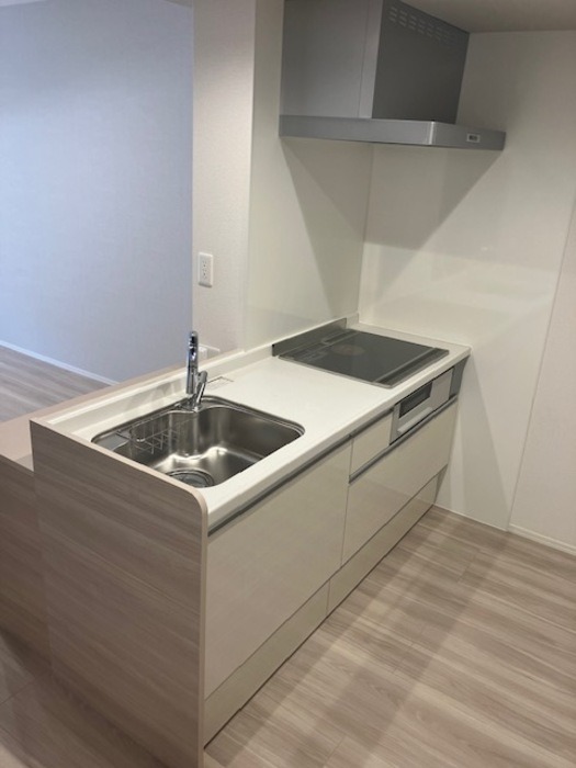 ��ʌ��������܎s�Y�a���؍�S���ڂ̃A�p�[�g�̃L�b�`��