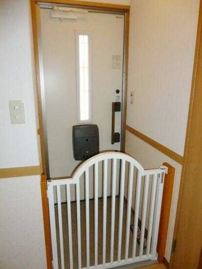 ��ʌ��z�J�s���z�J�T���ڂ̃A�p�[�g�̌���