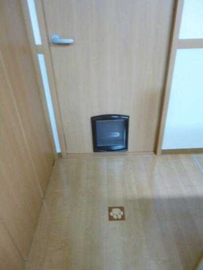 ��ʌ��z�J�s���z�J�T���ڂ̃A�p�[�g�̂��̑�