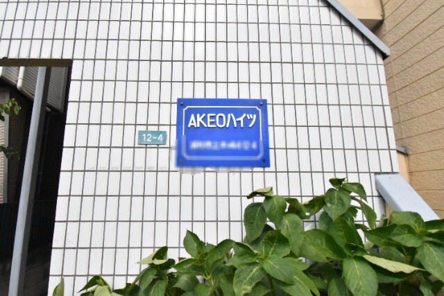 ��ʌ��������܎s�Y�a���؍�S���ڂ̃A�p�[�g�̂��̑�