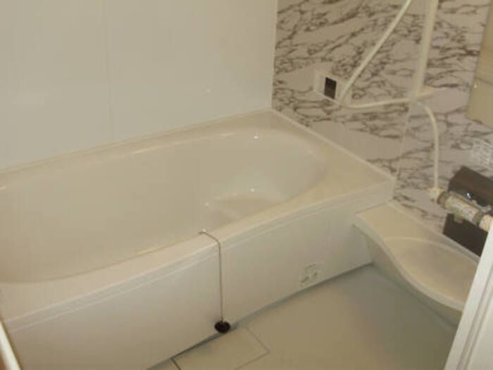 ��ʌ��z�J�s���z�J�P���ڂ̃A�p�[�g�̋��ԁE���r���O