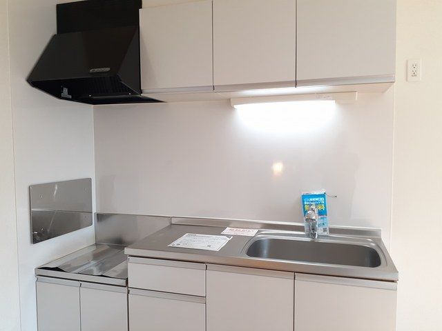 ��ʌ��z�J�s���C�N�^�E���U���ڂ̃A�p�[�g�̃L�b�`��