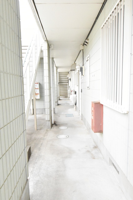 ��ʌ���z�s�厚�I��̃A�p�[�g�̃G���g�����X