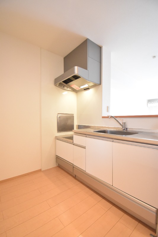 ��ʌ��z�J�s���������P���ڂ̃A�p�[�g�̃L�b�`��