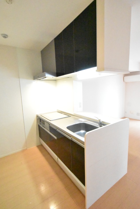 ��ʌ��z�J�s���������Q���ڂ̃A�p�[�g�̃L�b�`��