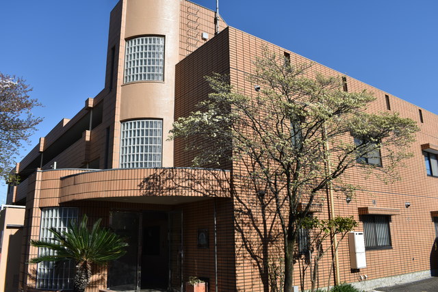 ��ʌ��������܎s����厚�w��̃}���V�����̌����O��