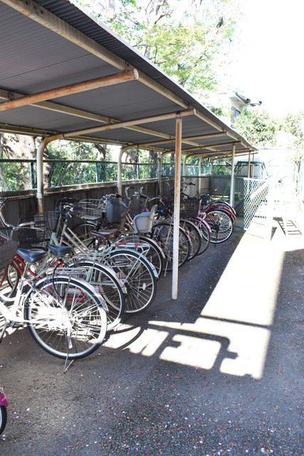 ��ʌ��������܎s����厚�w��̃}���V�����̂��̑�