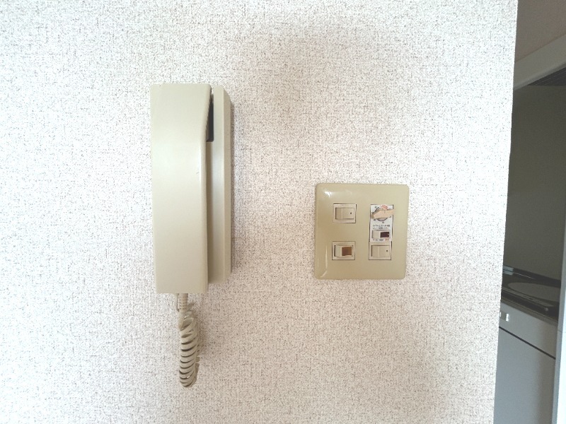 ��ʌ���z�s�x�m�����̃}���V�����̂��̑�