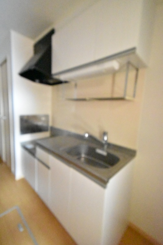 ��ʌ��������܎s������{�����U���ڂ̃}���V�����̃L�b�`��