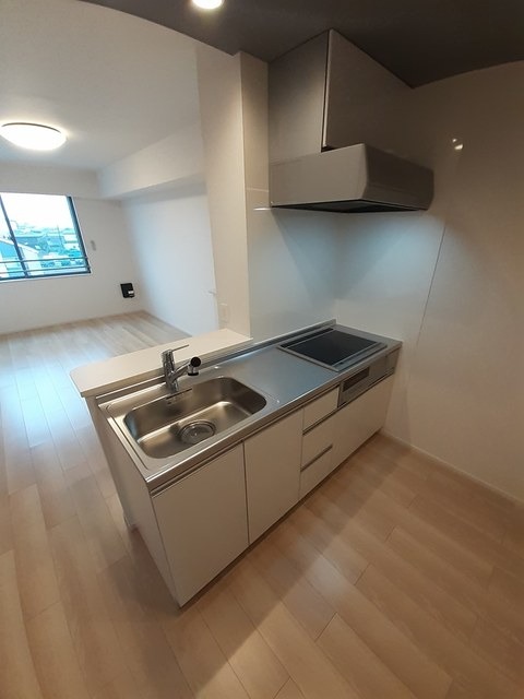 ��ʌ��������܎s����{�O���̃A�p�[�g�̃L�b�`��