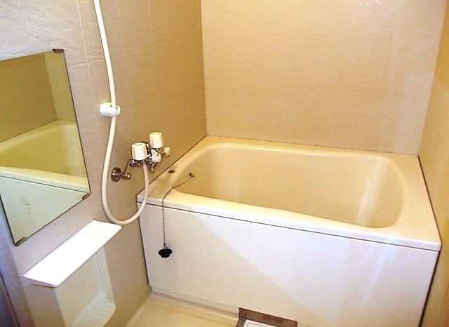 ��ʌ�����s�厚������̃}���V�����̃o�X