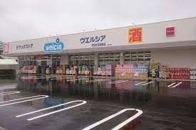 ��ʌ��k�����S�ɓޒ��厚�����̃}���V�����̎���