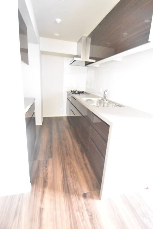 ��ʌ��������܎s��{�扺���P���ڂ̃}���V�����̃L�b�`��