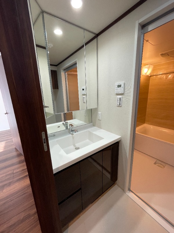 ��ʌ��������܎s��{�扺���P���ڂ̃}���V�����̂��̑�