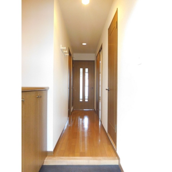 ��ʌ��������܎s�΋�厚�����̃}���V�����̌���