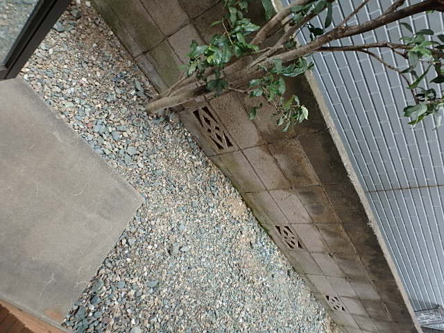 ��ʌ��������܎s�k��{�����̃}���V�����̂��̑�