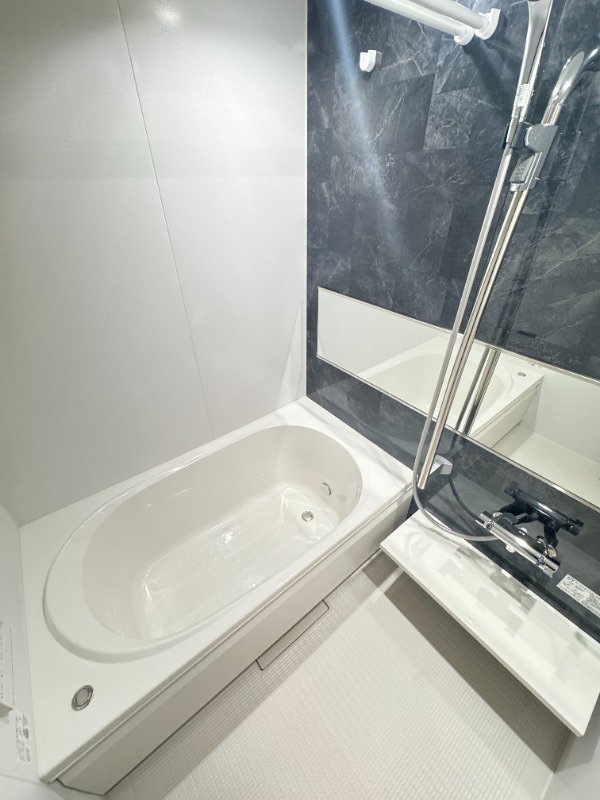 ��ʌ��������܎s��{�捂�@���P���ڂ̃}���V�����̃o�X