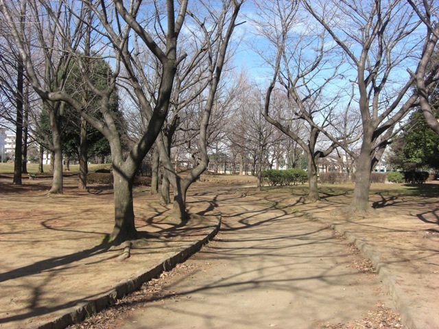 ��ʌ��������܎s�����攪���q�S���ڂ̃}���V�����̎���