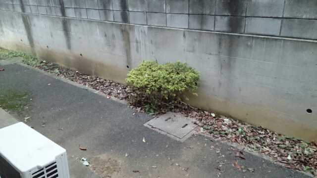 ��ʌ��������܎s������[��R���ڂ̃}���V�����̂��̑�